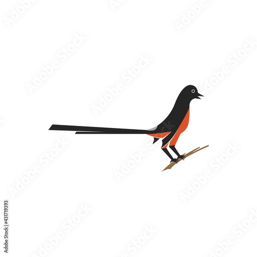 Murai bird illustration logo vector photo