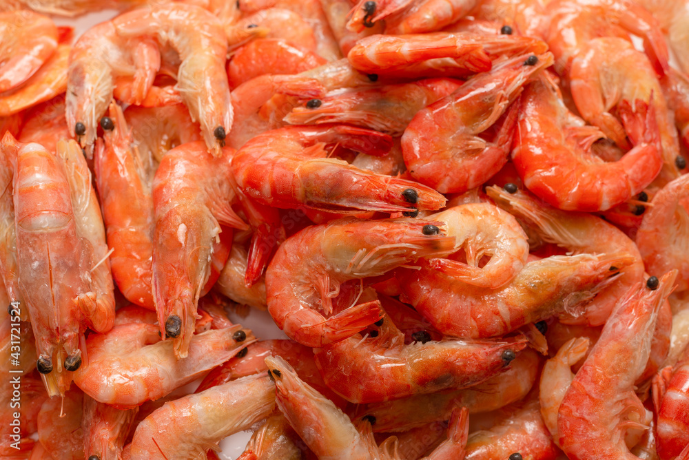 Shrimps background texture. A lot of shrimps. Cooked shrimps.