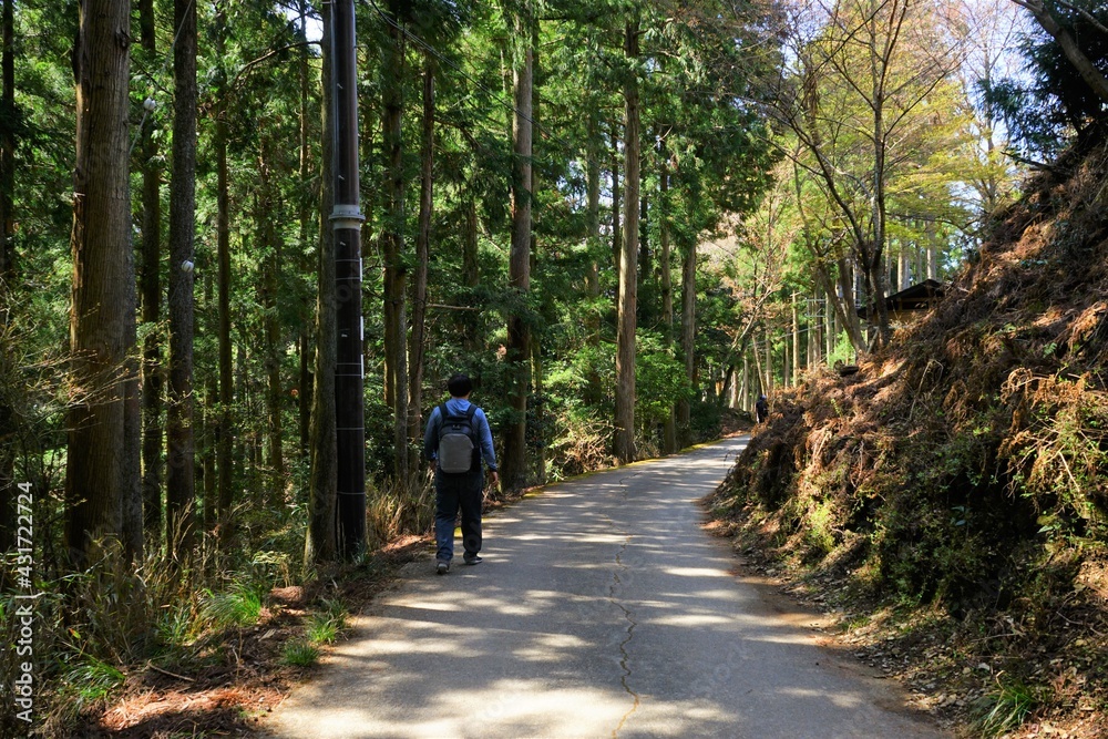 Fototapeta premium Man walking down trail path on Mount Yoshino in Nara Prefecture, Japan - 日本 奈良 吉野山 登山する男性