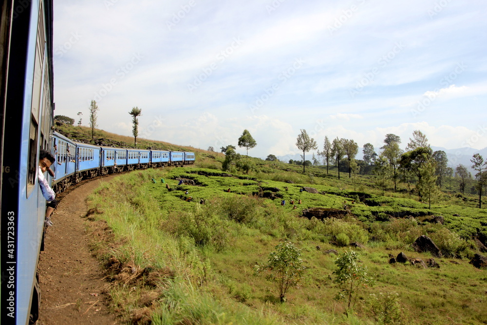 Sri Lanka Train and tea plantation