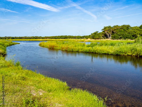 Myakka River in Myakka River State Park in Sarasota Florida USA