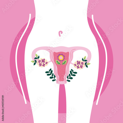 uterus in body
