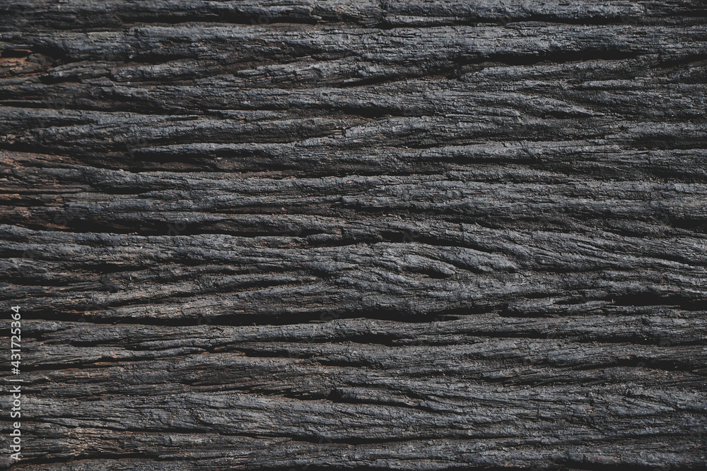 Old wood cracked texture,Seamless tree bark texture,
