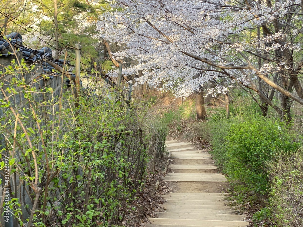 path in the park