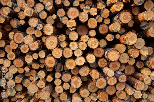 Cut down wood collected into a woodpile for later industrial use