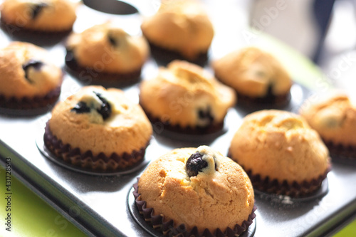 Fresh baked blueberry muffins in baking mold with selective focus.