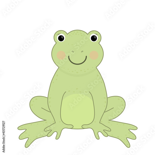 Cute frog. Vector illustration.
