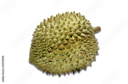 Durian  a thorny fruit that smells bad but has a delicious sweet taste. Famous fruit of Thailand.