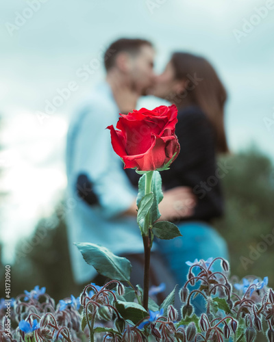 silhouette of a couple with a rose