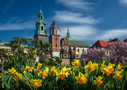 Spring in Krakow - Wawel Castle in daffodil flowers.