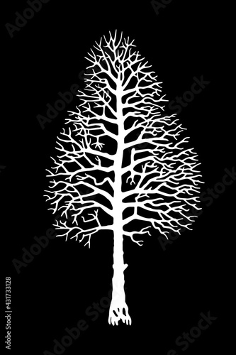 Vector tree silhouette.