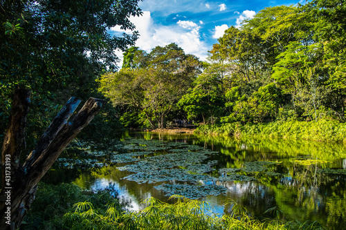 Botanical Garden park in Medellin Colombia