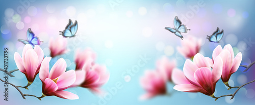 Nature spring background with beautiful magnolia branches on blue sky and butterflies. Vector.