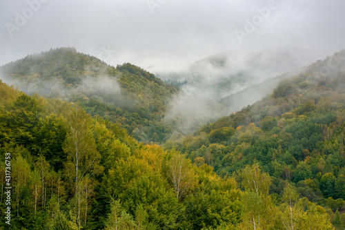 fog rising above the forest. moody nature background with cloudy sky. cold mist in the valley of carpathian countryside in early autumn. deciduous trees on steep hills. mysterious mountain landscape