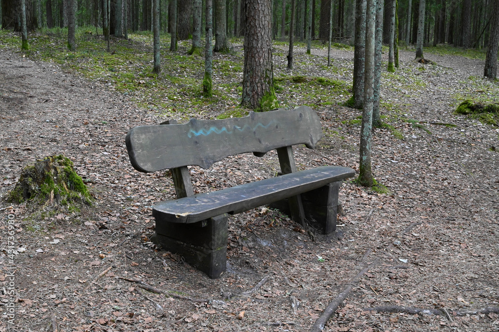 An old wooden bench in the middle of the forest in spring. An old wooden bench in the middle of the forest in spring.
