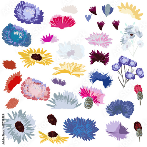 Set of vector flowers in rustic style for design