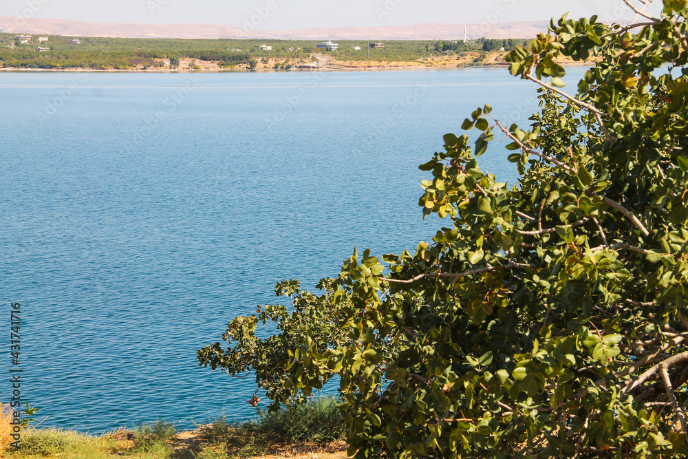 Beautiful lake surrounded by green forests Beautiful lake surrounded by green forests