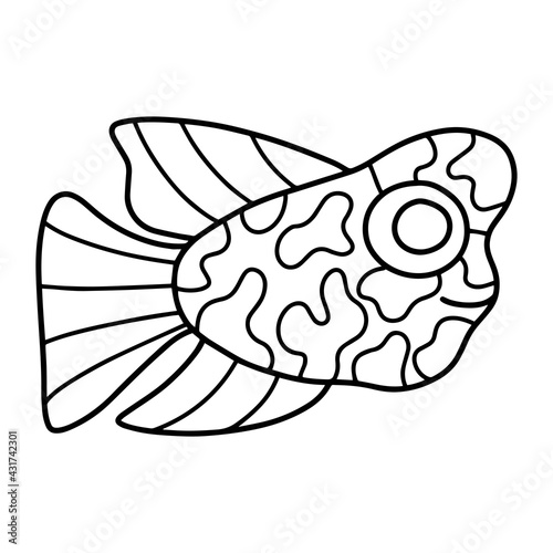 Flowerhorn cichlids fish linear hand-drawn stock vector illustration. Exotic aquarium fish black outline white isolated. Exotic fish coloring page for kids printable page