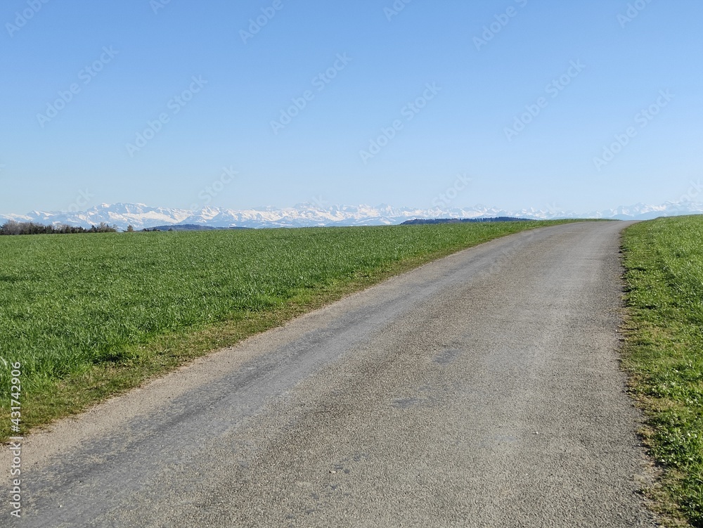 Road to distant alps