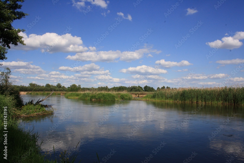 view of the Pilica river on a sunny day 