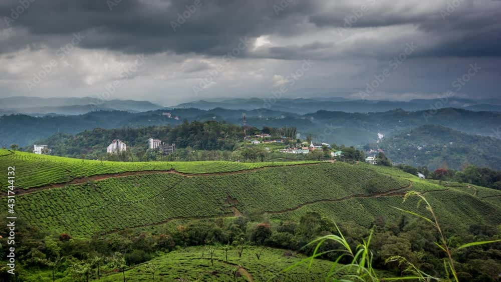 Fields of Tea Plantation and Time Lapse of Clouds over Mountains near the City of Munnar, Kerala, India Fields of Tea Plantation and Time Lapse of Clouds over Mountains near the City of Munnar, Kerala, India
