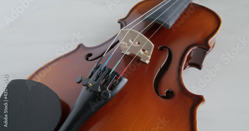 Violin string and bridge close up