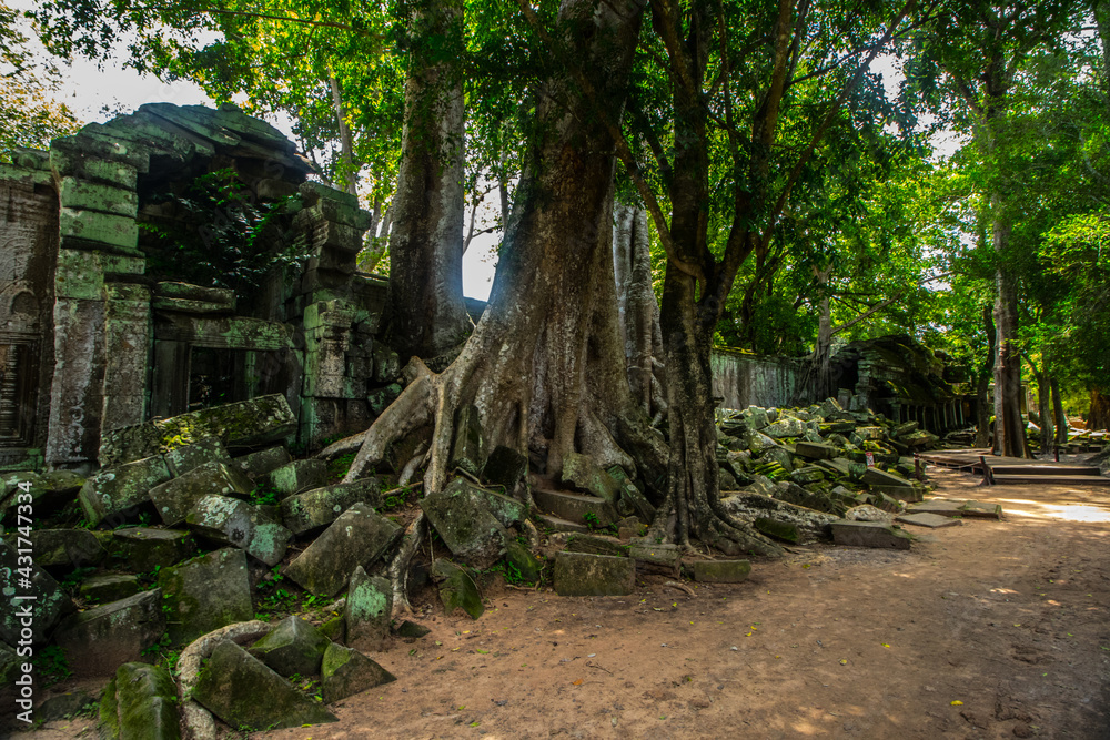 Ancient Buddhist Temple in Asia