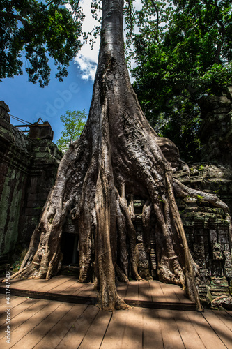 Ancient Buddhist Temple in Asia
