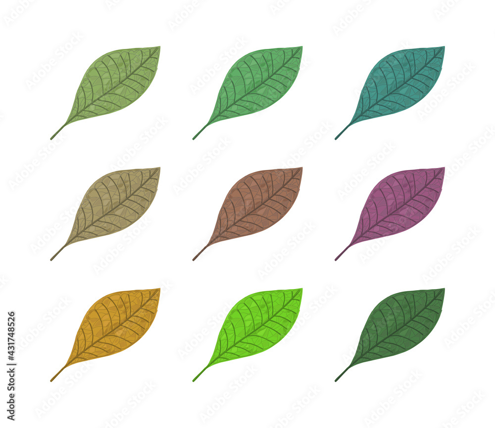 Various of leaves icons. Colorful Leaves on white background. Ecology. Vector illustration.