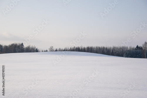 winter landscape with snow and trees.