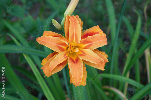 Developed using darktable 2.6.0