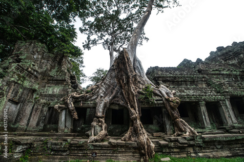 Ancient Buddhist Temple in Asia