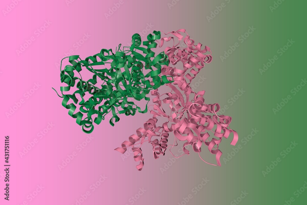 Crystal structure of anthrax toxin lethal factor. Ribbons diagram with differently colored protein chains on colorful background. Rendering based on protein data bank entry 1J7N. 3d illustration Crystal structure of anthrax toxin lethal factor. Ribbons diagram with differently colored protein chains on colorful background. Rendering based on protein data bank entry 1J7N. 3d illustration