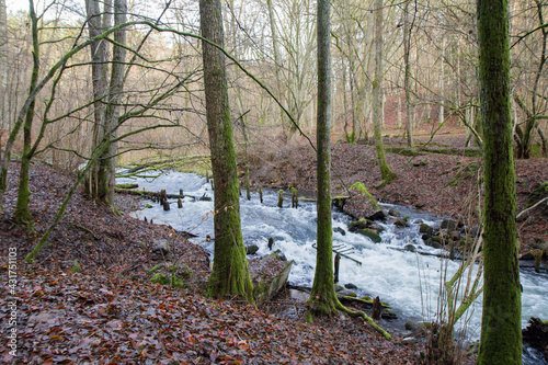 A creek in a forest in winter with remains of an old fallen bridge visible