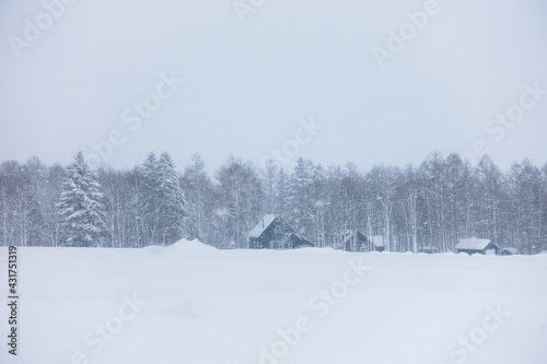 A few houses with pitched roofs in front of a distant forest in a snowy winter in Biei, Hokkaido, Japan