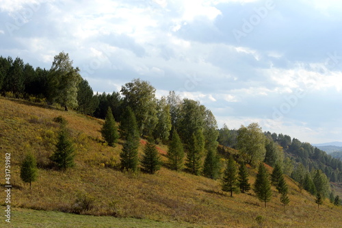 Western Siberia. Mountain landscape in the Charyshsky district of the Altai Territory. Russia