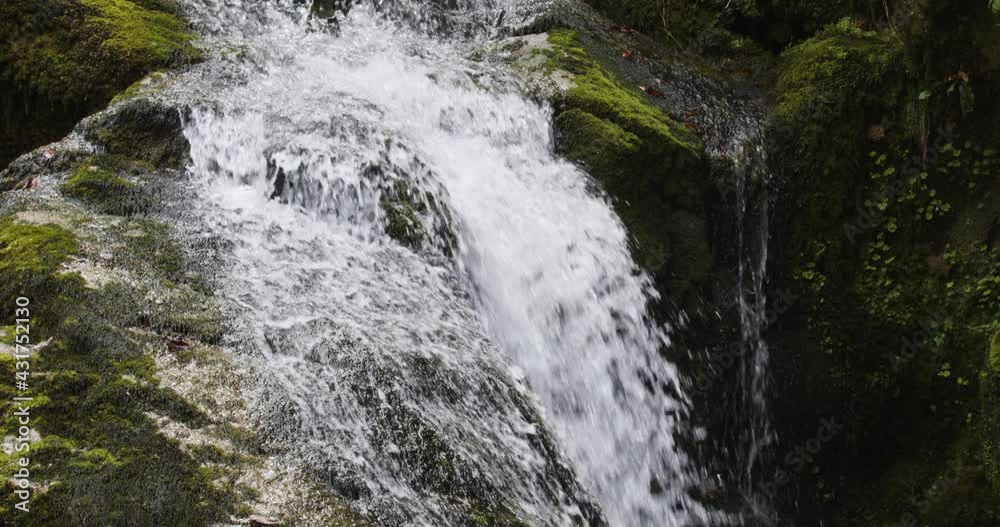 Lush waterfall on the rock covered by the moss and ferns, Zeleni vir, mountains of Croatia Lush waterfall on the rock covered by the moss and ferns, Zeleni vir, mountains of Croatia