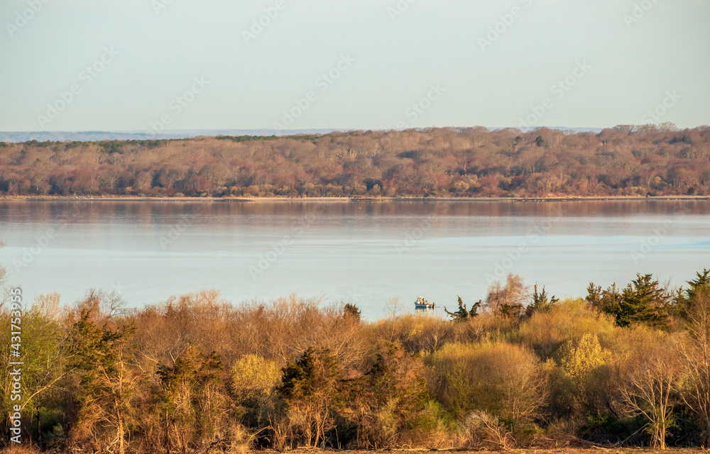 Landscape with bare trees near Newport, Rhode Island on an early spring morning