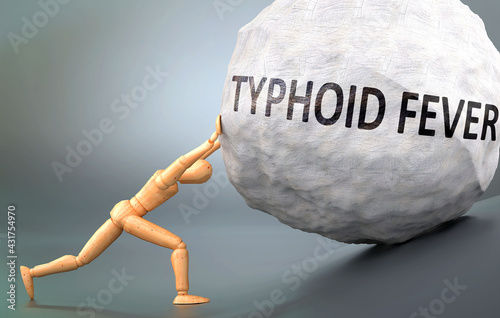 Typhoid fever and painful human condition, pictured as a wooden human figure pushing heavy weight to show how hard it can be to deal with Typhoid fever in human life, 3d illustration