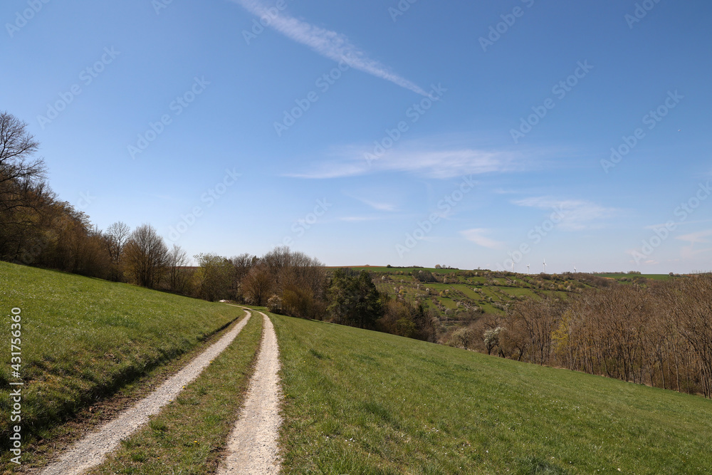Fototapeta premium Spring landscape with sown fields and blue sky