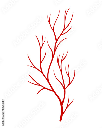 Human veins. Red silhouette vessel, arteries or capillaries on white background. Concept anatomy element for medical science. Vector isolated symbol of blood system