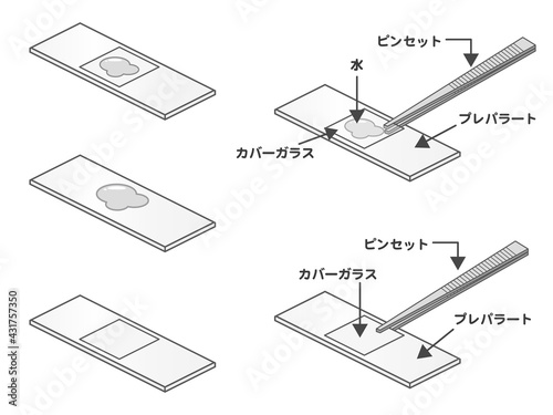 プレパラートとピンセットのイラスト素材3