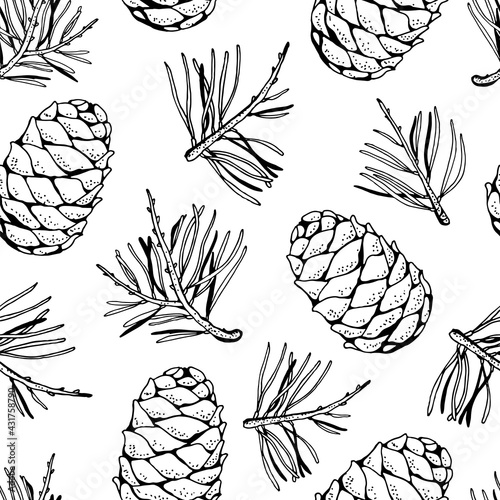 Pine cedar cone with a sprig, vector seamless background