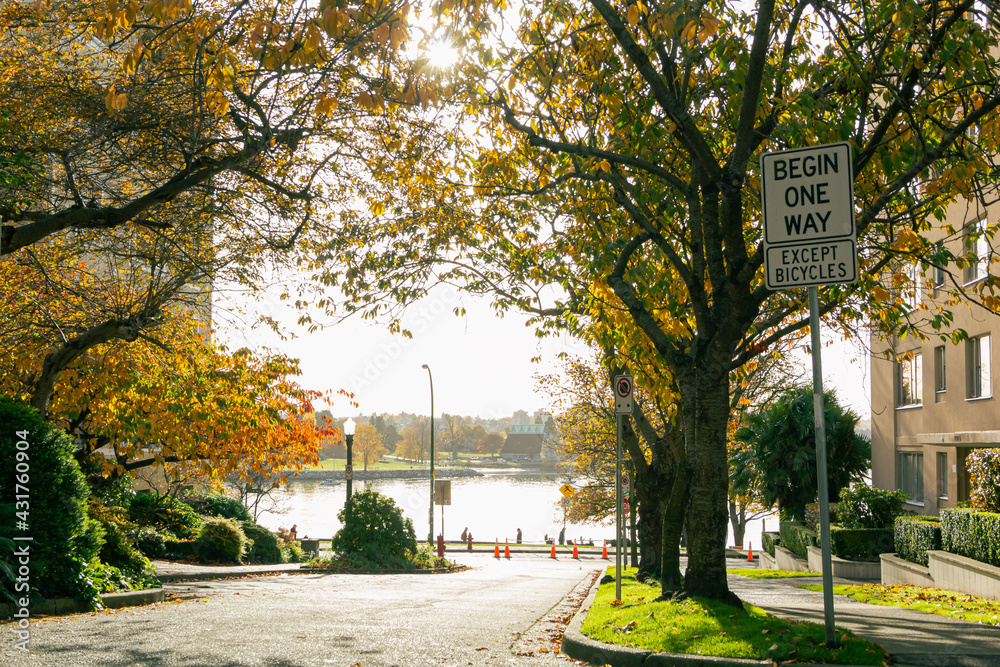 Obraz premium alley in autumn looking at the see