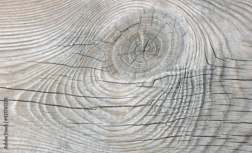 Natural texture of grey old pine board with big knot