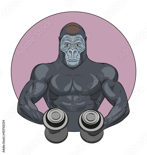 Strong muscular gorilla  holding two dumbbells in his hands and doing workout vector illustration. Fitness logo  illustration. Body-building.