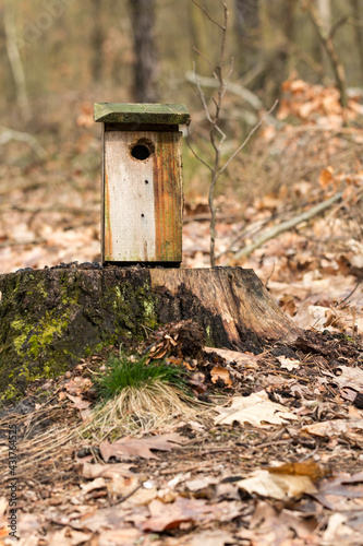 Photo forest birdhouse