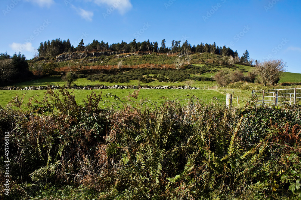 Carriganog Hill in County Kilkenny countryside