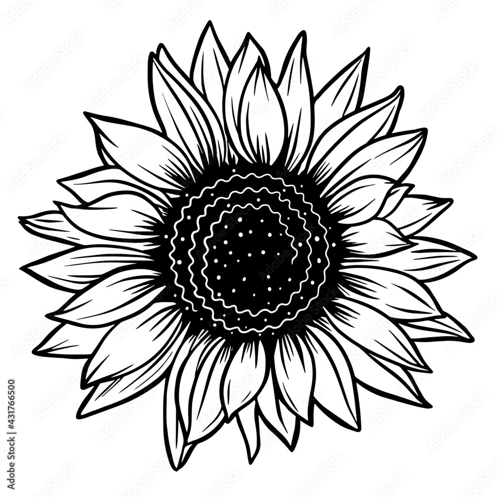 Fototapeta premium Sunflower flowers. Collection of silhouettes stylized blooming plants. Autumn flowers. Vector illustration on white background. Floral logotype. Tattoo.