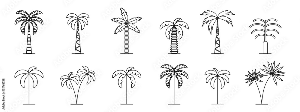 Set of minimal trees linear icons. Vector palm icons isolated on white ...